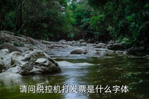 發(fā)票用什么字體，請(qǐng)問稅控機(jī)打發(fā)票是什么字體
