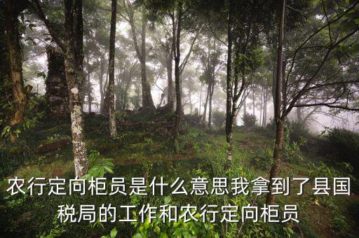 國稅值班是什么意思，農(nóng)行定向柜員是什么意思我拿到了縣國稅局的工作和農(nóng)行定向柜員