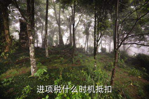 認(rèn)證的進項稅什么時候抵扣，進項稅什么時機抵扣