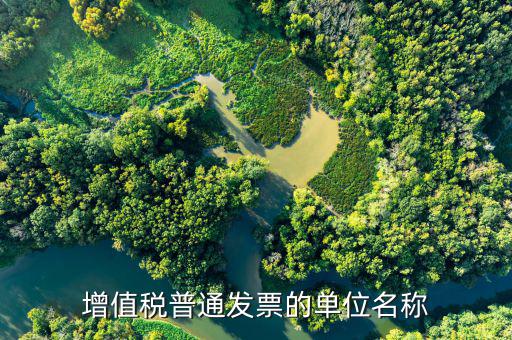 增值稅單位名稱(chēng)是什么，增值稅普通發(fā)票的單位名稱(chēng)