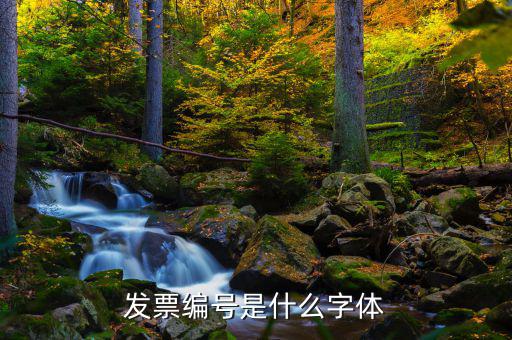發(fā)票上的號碼是什么字體，發(fā)票編號是什么字體