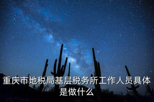 重慶地稅局前臺(tái)做什么的，重慶市地稅局基層稅務(wù)所工作人員具體是做什么