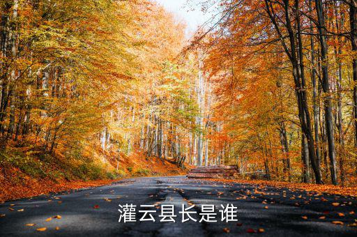 灌云國稅局局長叫什么，國家稅務(wù)局局長叫什么