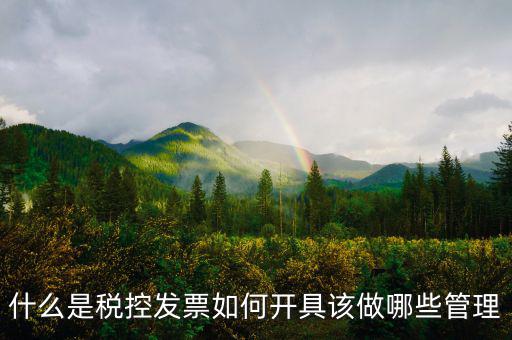 申請稅控是什么，什么是稅控盤申請稅控盤需要什么手續(xù)