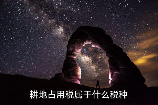 耕地占用稅屬于什么稅，耕地占用稅屬于什么稅種