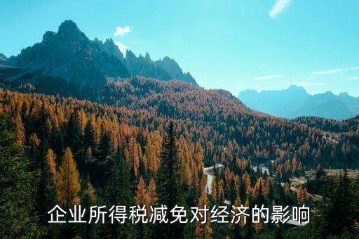 減稅免稅有什么弊端，減稅對個人和企業(yè)的不利影響