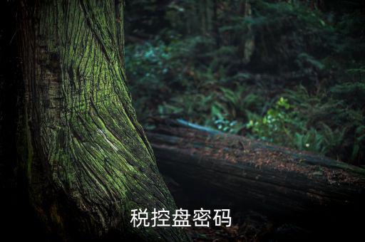 稅控盤證書密碼是什么意思，稅控盤上報(bào)匯總密碼是什么