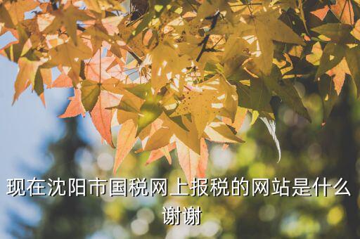 國稅交稅的網(wǎng)站是什么，現(xiàn)在沈陽市國稅網(wǎng)上報稅的網(wǎng)站是什么 謝謝