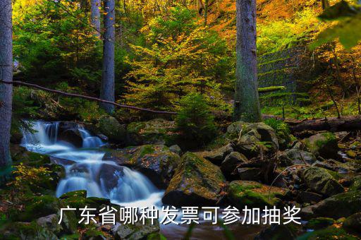 什么發(fā)票可以抽獎，廣東省哪種發(fā)票可參加抽獎