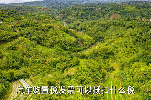 車輛發(fā)票可以抵扣什么，公司買一臺車請問買車的發(fā)票可以作為進(jìn)票抵扣嗎