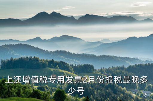 己開具專用票最遲什么時(shí)侯報(bào)稅，銷售貨物開具了發(fā)票什么時(shí)候報(bào)稅