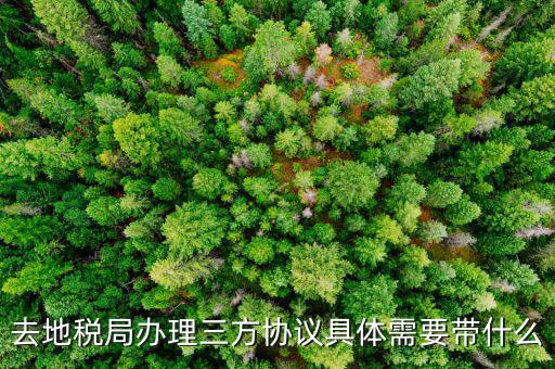 地稅辦理三方協(xié)議需要什么資料，去地稅局辦理三方協(xié)議具體需要帶什么