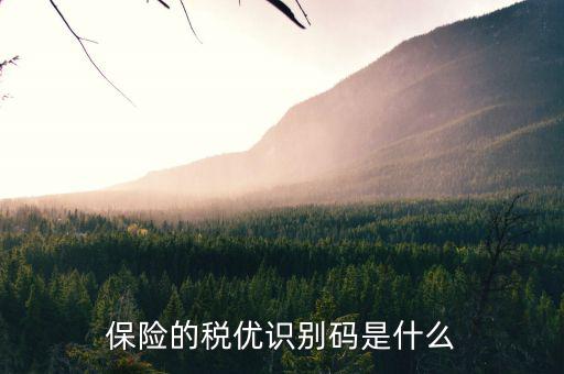 保險(xiǎn)的稅優(yōu)識別碼是什么