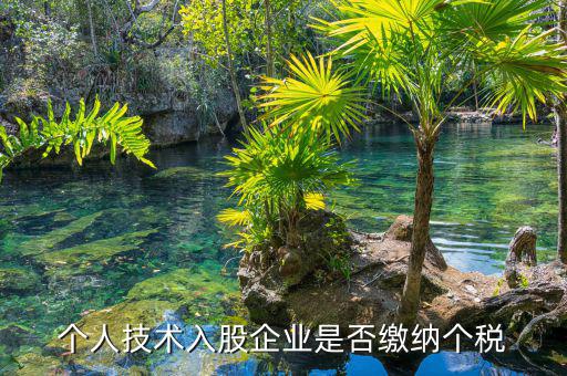 個(gè)人專(zhuān)利入股繳什么稅，請(qǐng)教稅法高手個(gè)人專(zhuān)利技術(shù)入股需繳稅嗎