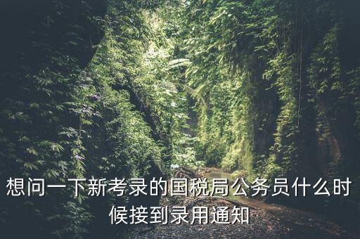 國稅錄取通知什么時候，今年國稅公務(wù)員正式錄用公告什么時候出