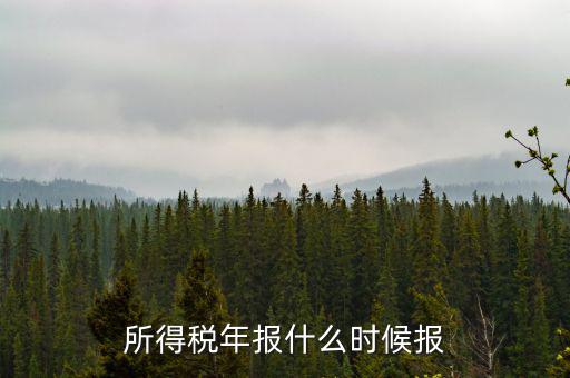 國稅企業(yè)所得稅年報(bào)什么時(shí)候開始報(bào)，什么時(shí)間報(bào)企業(yè)所得稅年度納稅