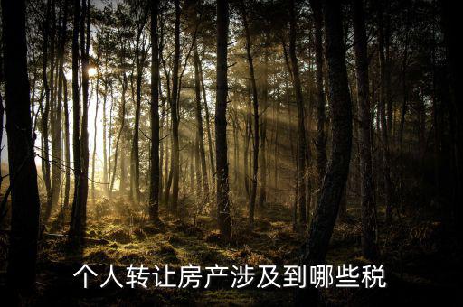 個人出售住房交什么稅，賣房子要交20的稅