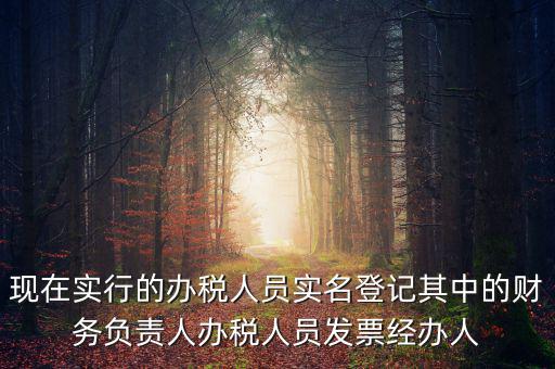實(shí)名辦稅是什么時(shí)間提出的，現(xiàn)在實(shí)行的辦稅人員實(shí)名登記其中的財(cái)務(wù)負(fù)責(zé)人辦稅人員發(fā)票經(jīng)辦人