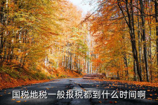 國(guó)稅上報(bào)省局什么時(shí)候，國(guó)稅地稅網(wǎng)上報(bào)稅時(shí)間
