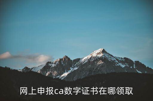申報領取什么CA，財務報稅的ca通道是什么
