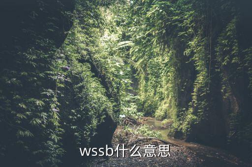 wssb是什么地方，開普敦是什么地方