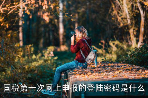 深圳網(wǎng)廳國稅登錄秘碼是什么意思，稅務(wù)局網(wǎng)站的登入賬戶初始密碼是什么