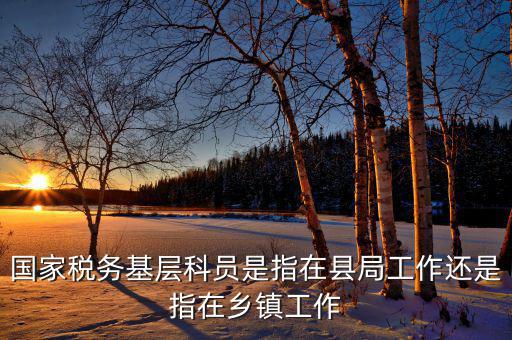 稅務(wù)系統(tǒng)的基層指什么，國家稅務(wù)基層科員是指在縣局工作還是指在鄉(xiāng)鎮(zhèn)工作