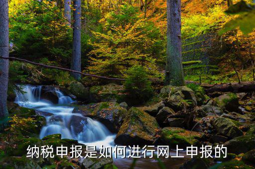 納稅申報是如何進行網上申報的