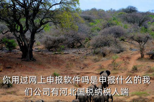 稅友報(bào)稅的軟件叫什么，你用過(guò)網(wǎng)上申報(bào)軟件嗎是申報(bào)什么的我們公司有河北國(guó)稅納稅人端