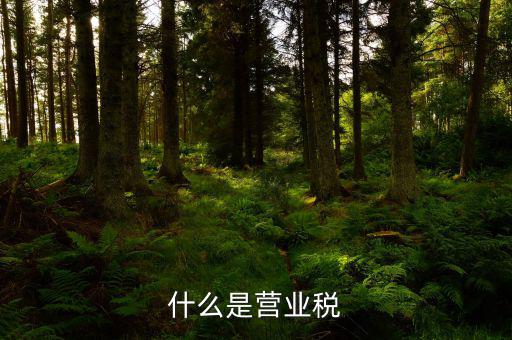 營業(yè)稅是什么行為稅，請問什么是營業(yè)稅