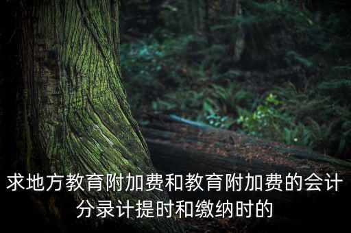 地方教育費附加是什么意思，教育費附加代表什么意思
