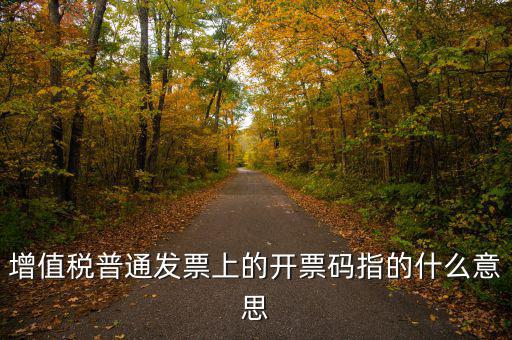什么是發(fā)票信息碼，增值稅普通發(fā)票上的開票碼指的什么意思