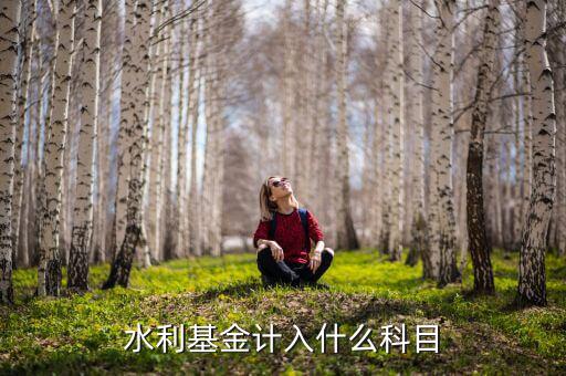 水利基金指什么，水利基金計入什么科目