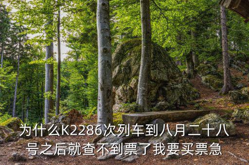 為什么會(huì)查無此票，在網(wǎng)上訂火車票時(shí)為什么查余票時(shí)有票 但是訂時(shí)卻沒有