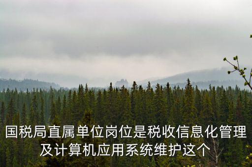 什么是國(guó)稅信息化，信息化在稅務(wù)管理中有什么作用