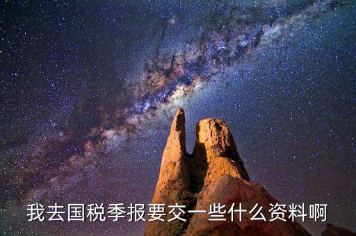 國稅季度申報需要帶什么，我去國稅季報要交一些什么資料啊