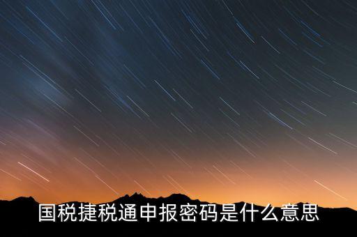 國(guó)稅申報(bào)登陸密碼是什么意思，國(guó)稅第一次網(wǎng)上申報(bào)的登陸密碼是什么