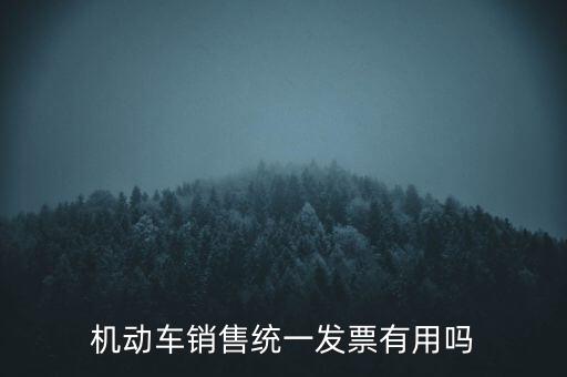 機(jī)動(dòng)車(chē)銷(xiāo)售統(tǒng)一發(fā)票有用嗎