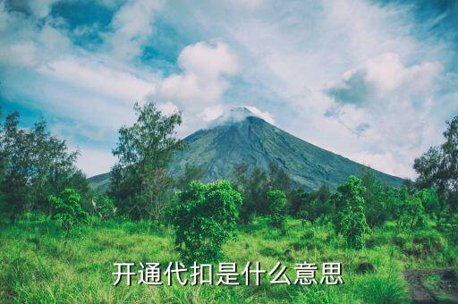 商戶代扣支出是什么啊，代扣什么意思