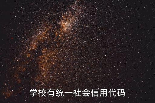 社會識別代碼是什么問題，社會信用代碼是不是納稅人識別號