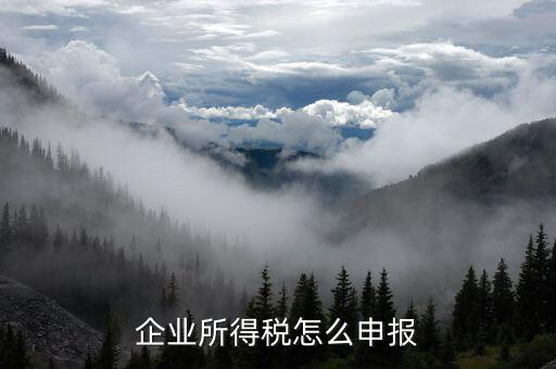 荊州按什么方式申報(bào)企業(yè)所得稅，企業(yè)所得稅怎么申報(bào)