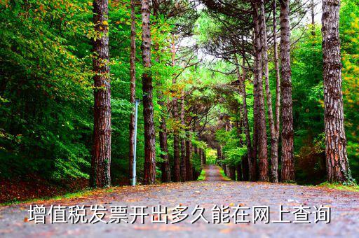 發(fā)票什么時(shí)候網(wǎng)上能查到，對(duì)方開具的增值稅發(fā)票什么時(shí)候能上網(wǎng)查詢到