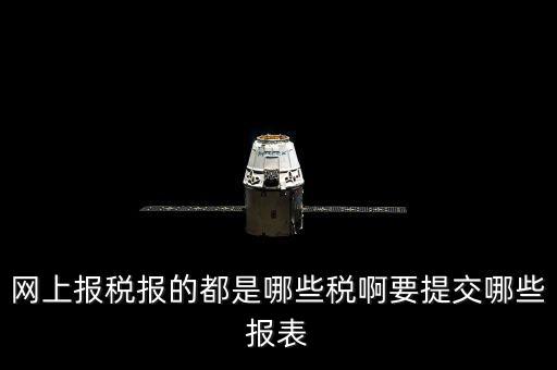 網上報稅報的都是哪些稅啊要提交哪些報表