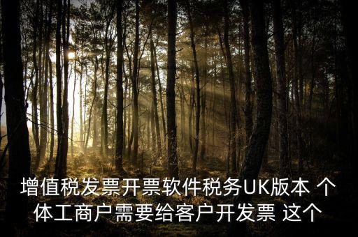 增值稅發(fā)票開票軟件稅務UK版本 個體工商戶需要給客戶開發(fā)票 這個