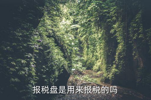 報(bào)稅盤是用來(lái)報(bào)稅的嗎