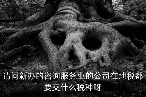 請(qǐng)問(wèn)新辦的咨詢(xún)服務(wù)業(yè)的公司在地稅都要交什么稅種呀