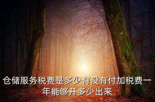 倉儲服務(wù)稅費(fèi)是多少有沒有付加稅費(fèi)一年能夠開多少出來