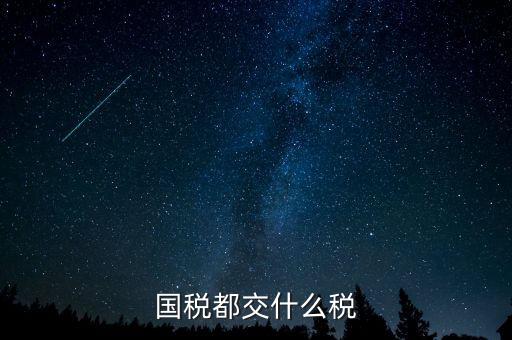 國稅五項(xiàng)稅種都是什么，國稅包括哪些稅種