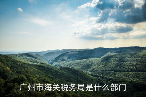 稅務(wù)總局國際司干什么，國家稅務(wù)總局是正部級