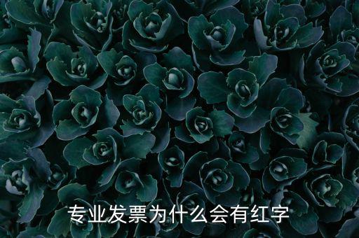 專(zhuān)業(yè)發(fā)票為什么會(huì)有紅字